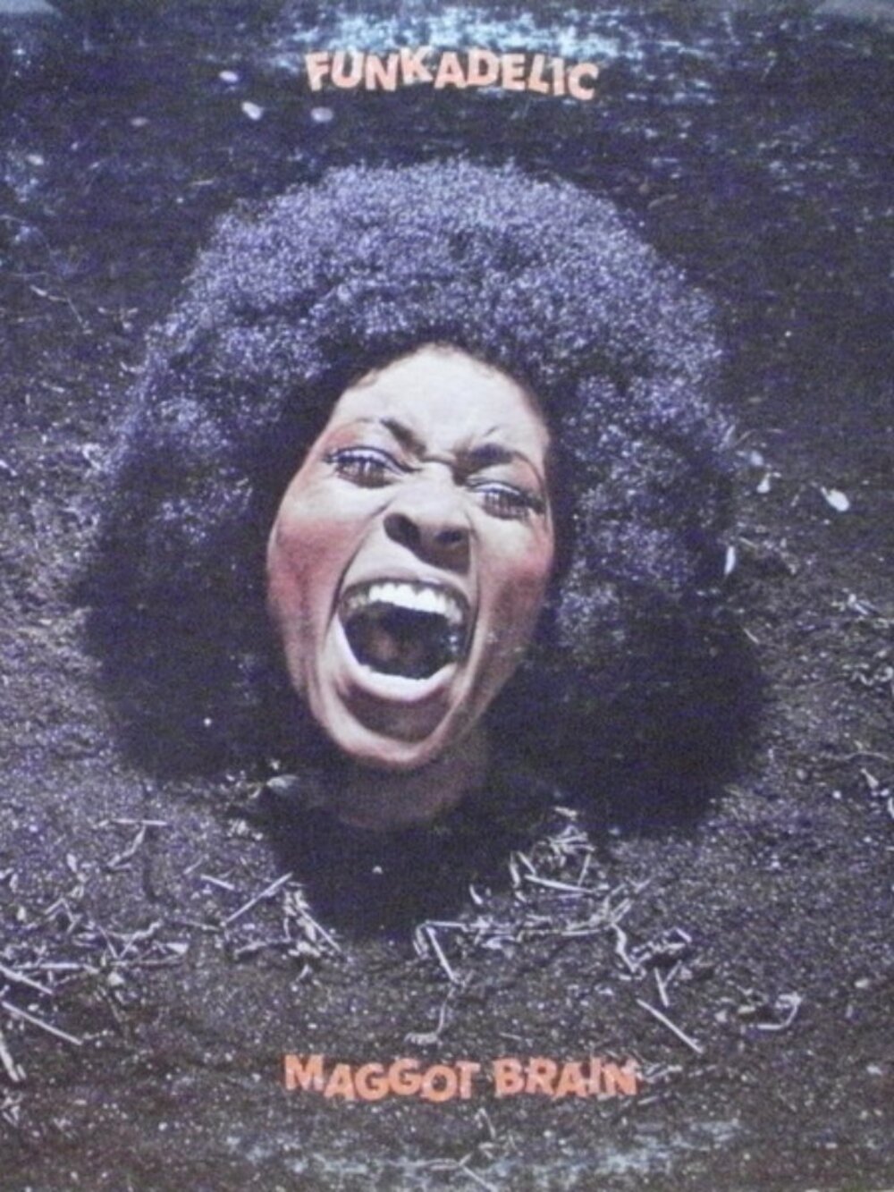 LP Funkadelic – Maggot Brain	(9198-2007)	(VG+/VG)